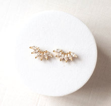 Load image into Gallery viewer, Crystal Fan Studs