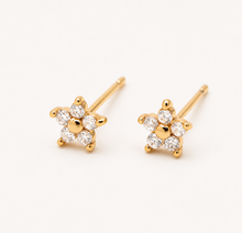 Load image into Gallery viewer, Dainty Flower Studs
