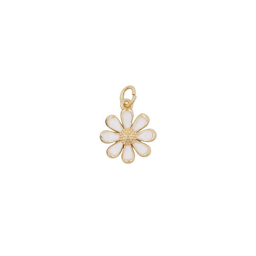 White Daisy
